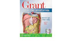 Papel Grant. Atlas De Anatomía Ed.15