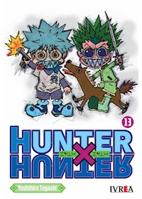 Papel Hunter X Hunter 13