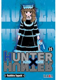 Papel Hunter X Hunter 15