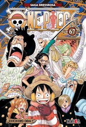 Papel One Piece Vol.67