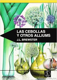 Papel Las Cebollas Y Otros Alliums