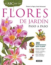 Papel Abc De Las Flores De Jardin Paso A Paso