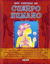 Papel Guia Ilustrada Del Cuerpo Humano
