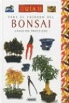 Papel Guia Para El Cuidado Del Bonsai