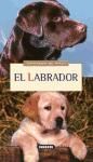 Papel Labrador, El Animales De Raza Oferta Susaeta