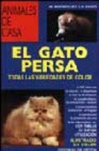 Papel Gato Persa, El Animales De Casa