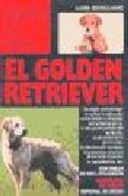 Papel Golden Retriever, El Perros De Raza