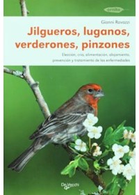 Papel Jilgueros, Luganos, Verderones, Pinzones - Animales En Casa