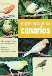 Papel Gran Libro De Los Canarios, El