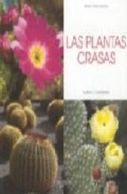 Papel Plantas Crasas, Las