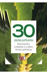  30 plantas purificantes