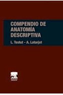 Papel Compendio De Anatomía Descriptiva