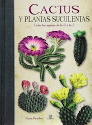 Papel Cactus Y Plantas Suculentas