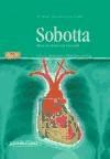 Papel Sobotta Atlas De Anatomia Humana 2