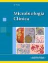 Papel Microbiologia Clinica
