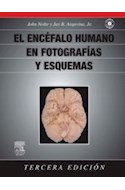 Papel El Encéfalo Humano En Fotografías Y Esquemas Ed.3