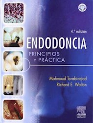 Papel Endodoncia. Principios Y Practica Ed.4