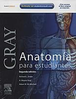 Papel Gray Anatomia Para Estudiantes
