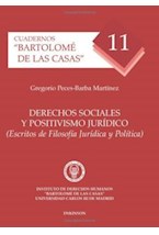  DERECHOS SOCIALES Y POSITIVISMO JURIDICO