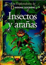Papel Insectos Y Arañas