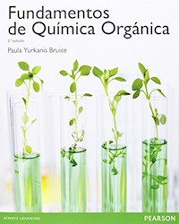 Libro Fundamentos De Quimica Organica