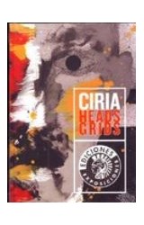 Papel CIRIA HEADS GRIDS