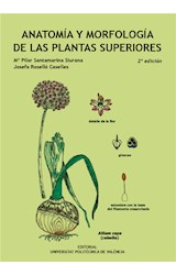  Anatomía y morfología de las plantas superiores