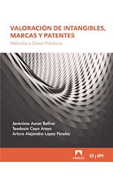  Valoración de intangible, marcas y patentes.