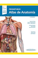 Papel Prometheus. Atlas De Anatomía Ed.4