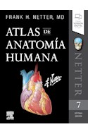 Papel Netter. Atlas De Anatomía Humana Ed.7