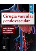 E-book Cirugía Vascular Y Endovascular