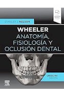 Papel Wheeler. Anatomía, Fisiología Y Oclusión Dental Ed.11