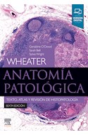 E-book Wheater. Anatomía Patológica