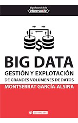  Big Data