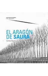  El Aragón de Saura