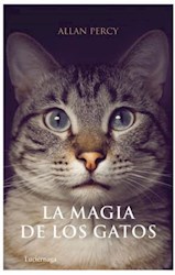 Papel Magia De Los Gatos, La