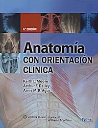 Papel Anatomia Con Orientacion Clinica 6º Edicion