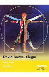 Papel David Bowie Elegía