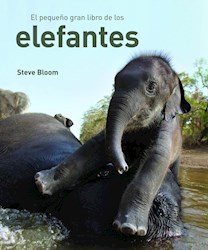 Papel Pequeño Gran Libro De Los Elefantes, El