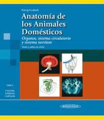 Papel Anatomia De Los Animales Domesticos - Tomo 2