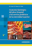 Papel Anatomía Quirúrgica Del Plexo Braquial Y Nervios Periféricos De La Extremidad Superior