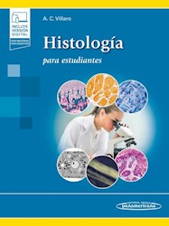 Papel Histología Para Estudiantes