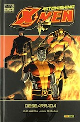 Papel Astonishing X-Men - Desgarrada