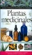 Papel Plantas Medicinales Guias Visuales