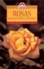 Papel Rosas Para Aprender Y Disfrutar