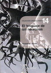Papel Lenguaje De Las Neuronas, El