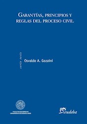 Papel Garantías, principios y reglas del proceso civil