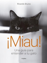 Papel Miau Una Guia Para Entender A Tu Gato