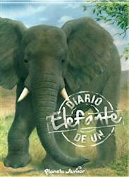 Papel Diario De Un Elefante