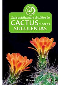 Papel Guía Práctica De Cactus Y Suculentas